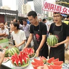 51朝阳吃瓜群众,揭秘吃瓜群众的幕后故事